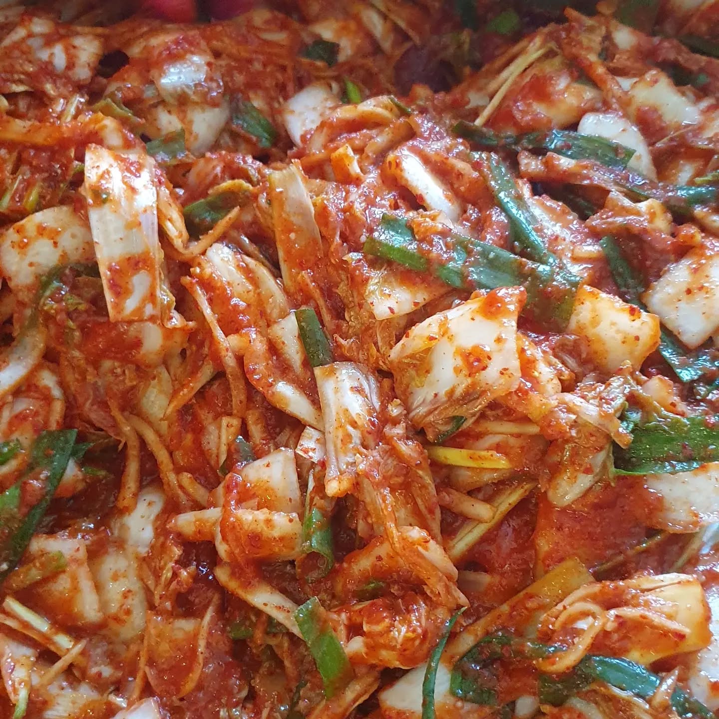 Freshly made Kimchi 🌶️🥬❤️
This is what real homemade kimchi looks like.
Fresh cabbage, spring onions and a rich Korean seasoning — all mixed by hand with care.
I love this moment when all the ingredients come together.
Spicy, fresh, crunchy and full of flavour. 🇰🇷
At Koreanfoodlovers, I want to share not only Korean food, but also the way we make and enjoy it together.
🥢 Homemade Korean food
🥬 Kimchi workshops
🍳 Korean cooking workshops
📍 Maarssen
Who else loves freshly made kimchi? ❤️
#Koreanfoodlovers #Kimchi #HomemadeKimchi #KoreanFood #KoreanCooking KimchiLovers KoreanFoodNetherlands KoreanFoodNL Maarssen Utrecht KoreanCookingWorkshop KimchiWorkshop